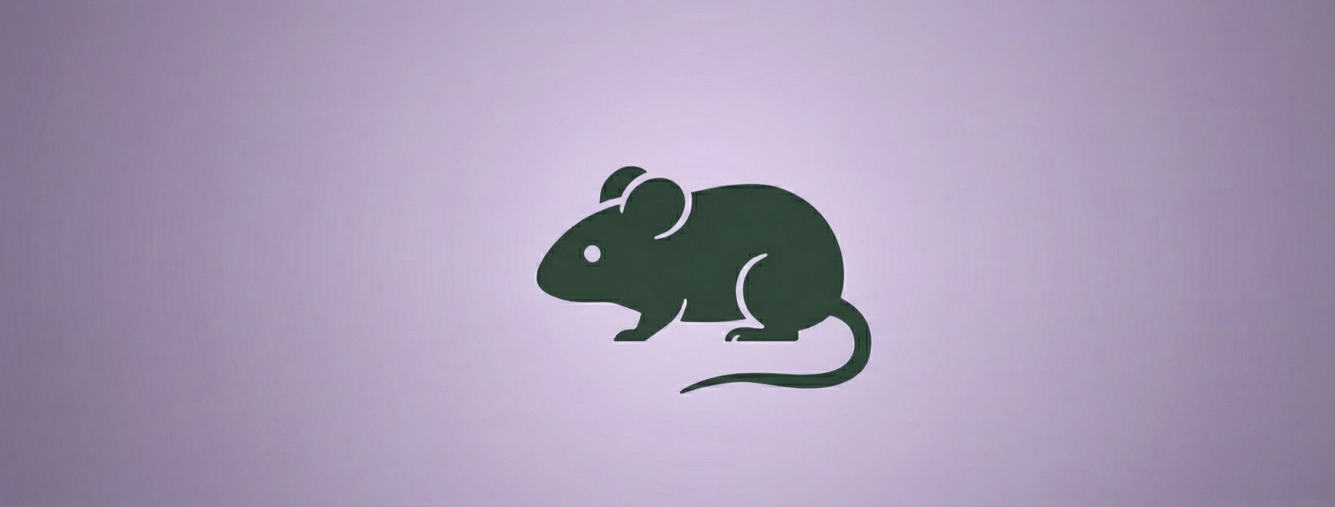 Mouse olfactory epithelium aging dataset
